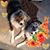 Dorothy Foigelman-Holland's profile image