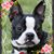 Mary Elizabeth's profile image