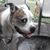 Rocky Dogge's profile image