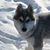 Lorie Manning's profile image