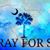 Shelley Mercer Hodge's profile image