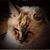 Jeri Kyle's profile image