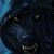 David Sanders's profile image