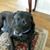 Patricia Wraback Letwink's profile image