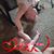 Stephy Jane's profile image