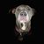 Aaron Forsman's profile image