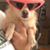 Darlene Welk Meath's profile image