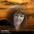 Lila Littleton's profile image