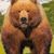 Charles Thornburg's profile image