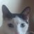 Debbie Kellough-Beaman's profile image
