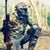 R Dian Hadi Saputra's profile image
