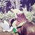 Daniel Fernandez's profile image
