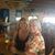 Karen Ann Turner's profile image