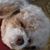 Barb Holm Viscarra's profile image