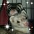 Teresa Helm's profile image