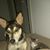 Tea Casarez's profile image