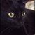 Karen Long's profile image