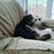 Priscilla Facha DiMaio's profile image