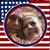 Julie Anna Huffman's profile image