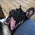 Brian A Gwin's profile image