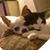 Lorena De Leon's profile image