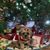 Sue Alaimo Kelley's profile image