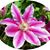 Jennifer Mitchell Heffner's profile image