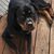 Brenda Scudder's profile image