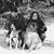 Alisha Danoff's profile image