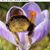 Rebecca Shelton's profile image