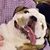 Matt Hooper's profile image