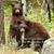 Fred McClanahan Jr's profile image