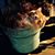 Lori Ellis's profile image