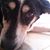 Sonia Alvarez's profile image