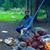 Spencer Steffen's profile image