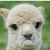 Jay Bernasconi's profile image