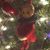 Traci Schneider Shook's profile image