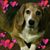 Jan Brassfield-Masiker's profile image