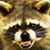 Cory Webster's profile image
