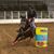 Christi Davis Ingle's profile image