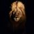 Jay Reed's profile image