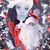 Stephanie Lynn Haun-Lengyel's profile image