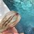 Amanda Koehler Wattie's profile image