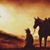 Carol Stockwell's profile image