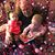 Kathy Smith's profile image