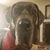 Lynette Zielke's profile image