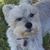 Midge Benefield's profile image