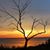 Sherry Strickler's profile image