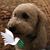 Anne Hurst's profile image