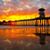 Charmaine Whitby's profile image